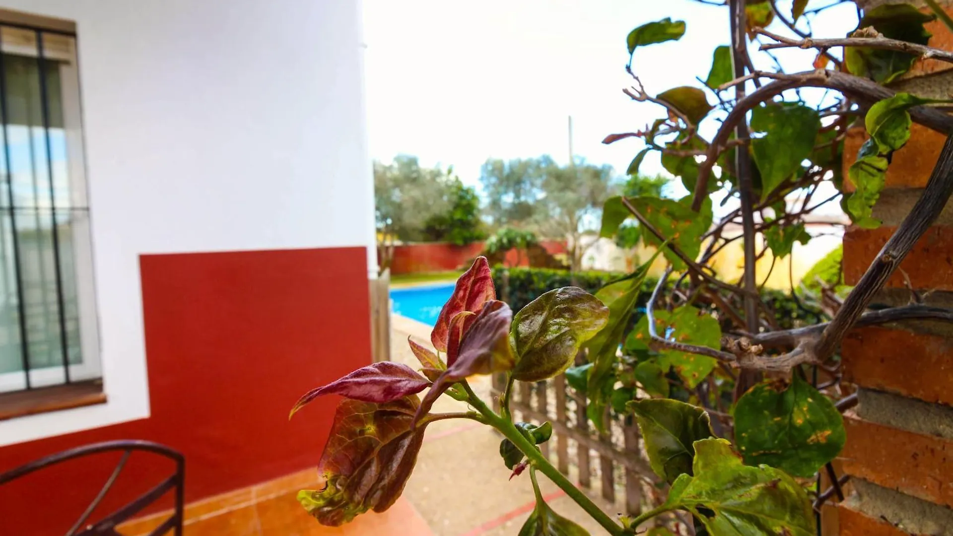 Los Candiles Conil De La Frontera Holiday home